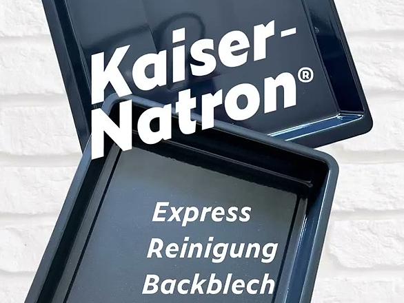Express-Backblech-Reinigung